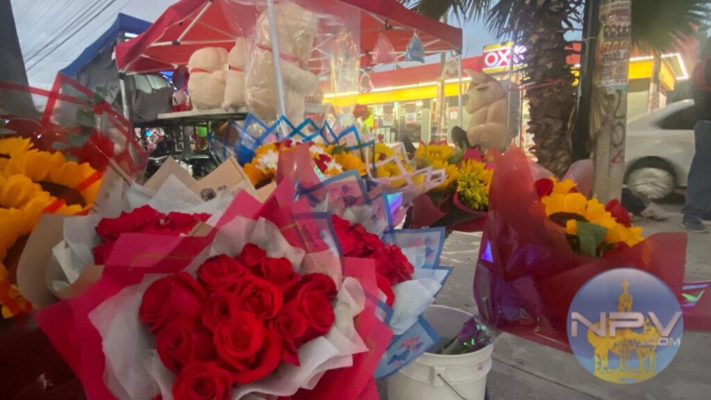 Puerto Vallarta se llena de colores y sorpresas en el Día del Amor y la Amistad