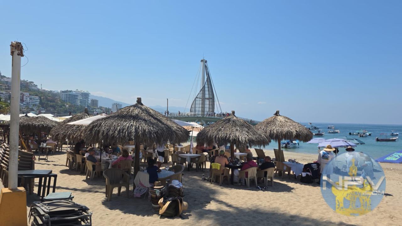 Los turistas renuevan su confianza y disfrutan de Puerto Vallarta