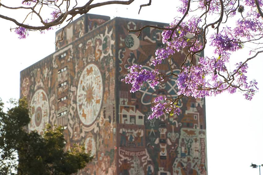 Reseña de la semana en México: Inician oficialmente las conversaciones del T-MEC mientras Sheinbaum apuesta por la economía digital